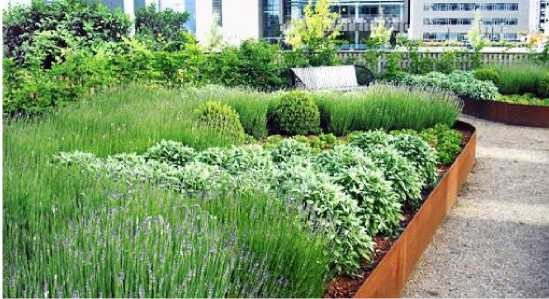 Lee más sobre el artículo La vegetación en el entorno urbano como elemento de reducción en el consumo energético de los edificios